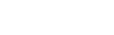 Toroni logo